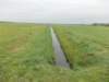 dscn0533_small.jpg