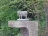 dscn0535_small.jpg