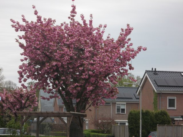 dscn0540.jpg