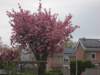 dscn0540_small.jpg