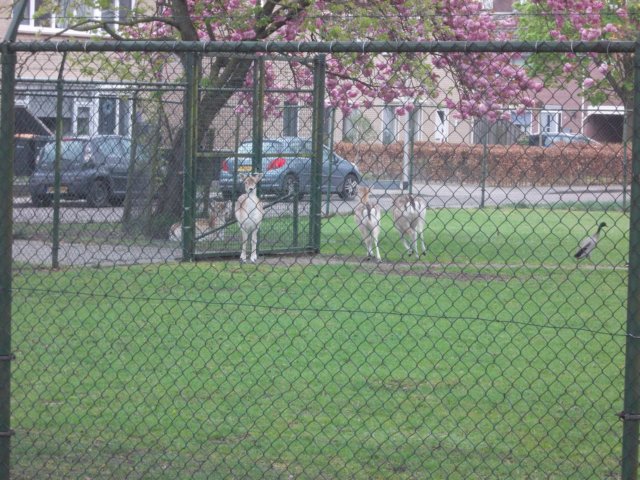dscn0542.jpg