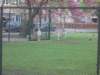 dscn0542_small.jpg