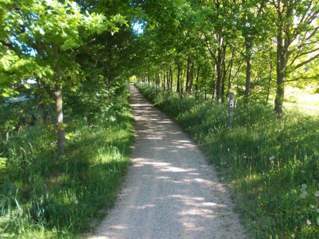 dscn0729.jpg