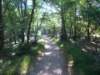 dscn0731_small.jpg