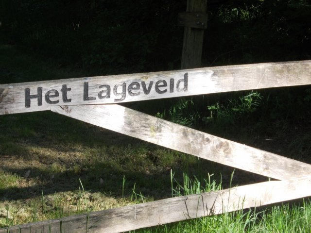 dscn0734.jpg