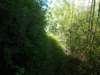 dscn0736_small.jpg