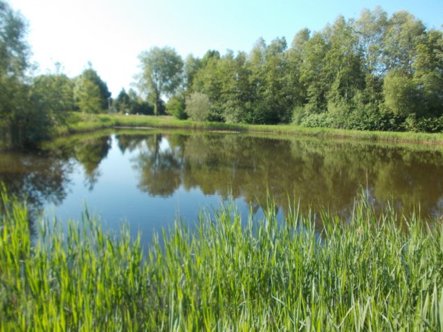 dscn0737.jpg