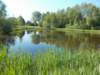 dscn0737_small.jpg
