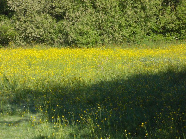 dscn0740.jpg