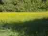 dscn0740_small.jpg