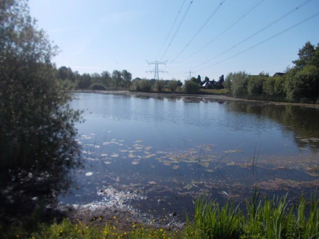 dscn0741.jpg