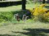 dscn0742_small.jpg