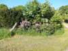 dscn0746_small.jpg